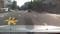 Un policier coréen gagne une course poursuite à pied
