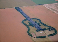 Un peu de verdure pour la musique