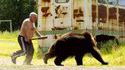 Chasse à l'ours