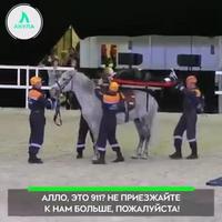 Tacle arrière sur cheval !!!