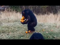 Kan tu prépares ta soirée derrière l'écran