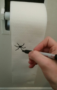 Un cri qui vient des toilettes