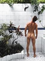 C'est pas la gentille petite tarente du Midi, mais encore une saleté australienne...