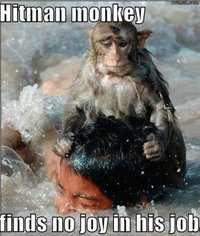 Singe assassin