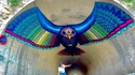 Un oiseau des tunnels 