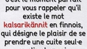 Puisque vous avez du temps libre forcé, apprenez donc le finnois !