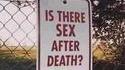 Question existentielle