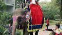 St Nicolas en Inde