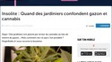 De l'herbe ?