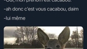 Jeu de mot pourrit 