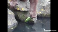Héros au zoo
