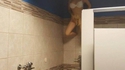 Je me sens observé quand je vais pisser