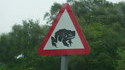 Attention aux crapauds