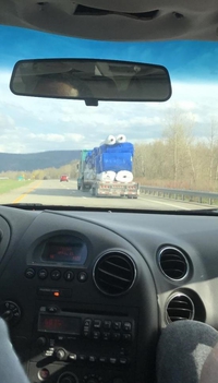 Ils sont partout et veulent des cookies 