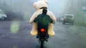 Ted, tu n'aurais pas forci?