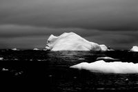 Visage de iceberg