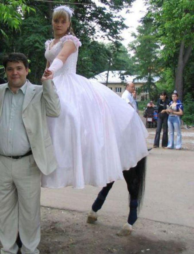 Une photo qui donne l'impression que la mariée est une centaure.