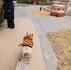 Une balade en skate