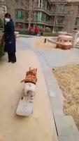 Une balade en skate 