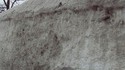 Neige encombrante