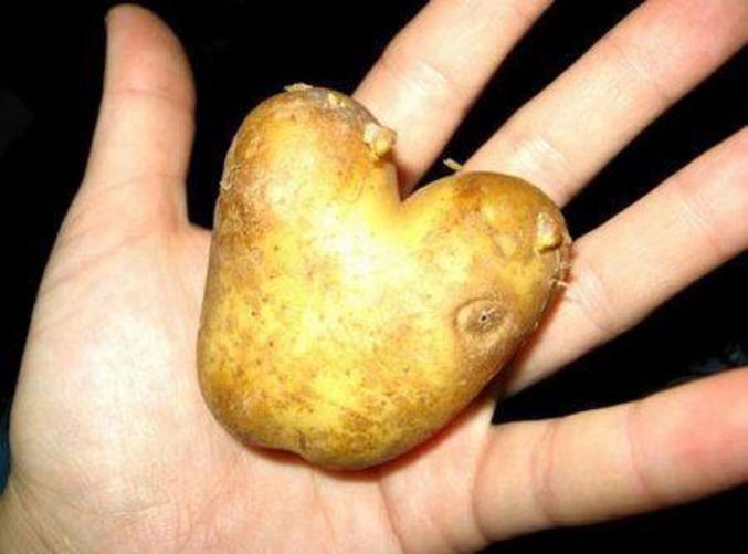 Une pomme de terre en forme de coeur.