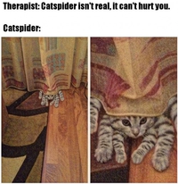 Les charaignées n'existent pas