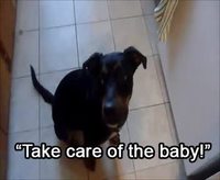 Occupe-toi de bébé !