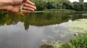 Pêcher dans un petit coin tranquille