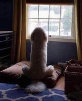 Tout les matins il est là 