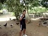 L'homme qui parlait aux poulets