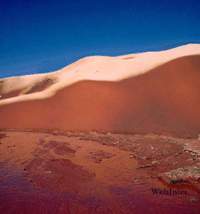 Beau Paysage
