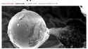 Des sphères de métal microscopiques contenant de l’ADN ont-elles apporté la vie sur Terre?