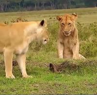 Foutez le camps de mon jardin 