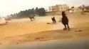 Pourquoi le cheval  traverse-t-il la route ?