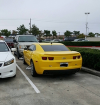 Vous n'approcherez pas !