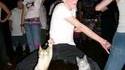 Y’a de la chatte ce soir