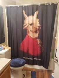 Rideau de douche