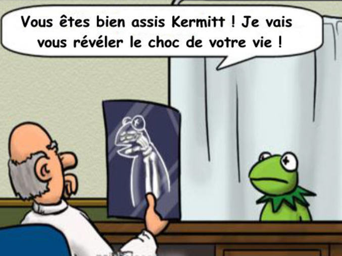 Un docteur annonce une douloureuse nouvelle à notre ami Kermitt.