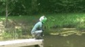 Je suis une grenouille