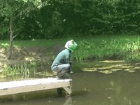 Je suis une grenouille