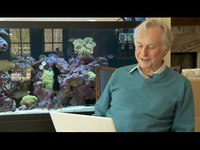 Lettres d'amour (en anglais)