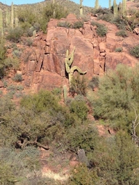 Ils sont partout 372