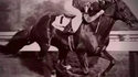 Frank Hayes et sa dernière course.