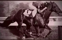 Frank Hayes et sa dernière course.