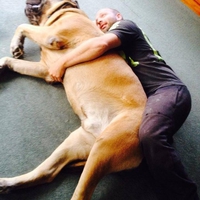 Un gros chien