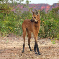 Kan ta meuf met des talons pour sortir.