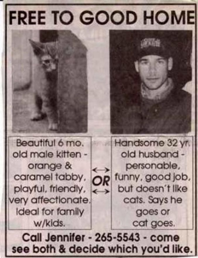 Une affiche propose à donner un chat... ou un mari qui n'aime pas les chats