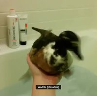 Hmm, l'eau n'est pas très palpable...