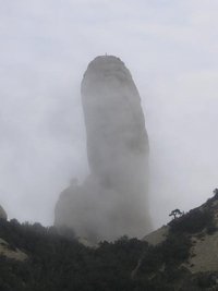 À la recherche des phallus perdus 159
