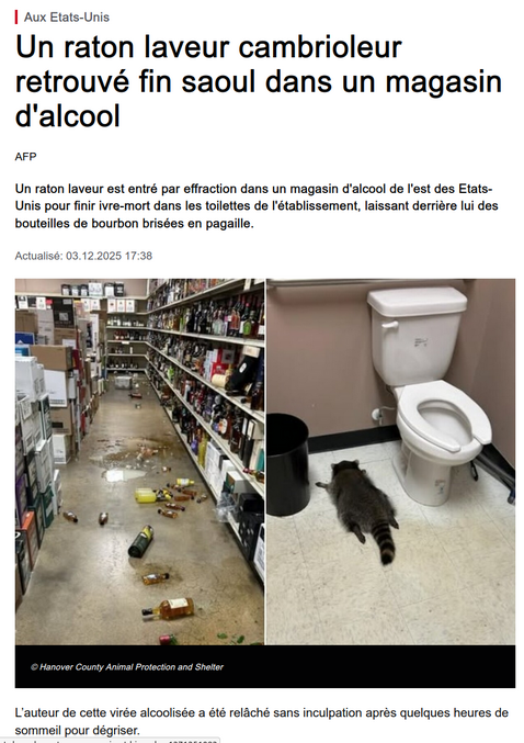 Ils disent souvent par là-bas : Drinking like a skunk (boire comme un putois)
Un raton-laveur c'est un putois qui a dû mettre du déodorant..

https://infos.rtl.lu/lifestyle/insolite/un-raton-laveur-cambrioleur-retrouve-fin-saoul-dans-un-magasin-dalcool-1102168756
